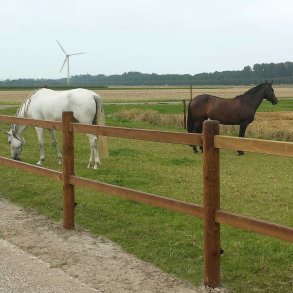Houten omheiningen voor paarden