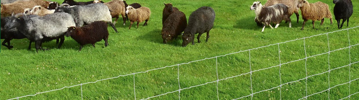 vitamine verlichten procedure Schapen hek & afrastering/omheining | ook voor geiten | Poda