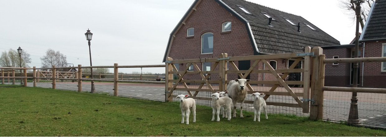 Zorgboerderij de Toekomst aan het woord