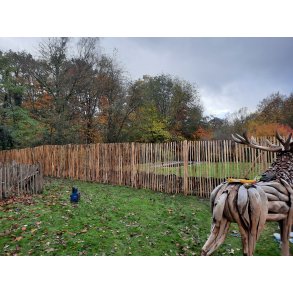 Kastanjestaket 175cm 7-8cm 5m