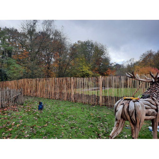 Kastanjestaket 175cm 7-8cm 5m