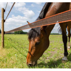 Elband, TurboStar 40mm, brun, 200m
