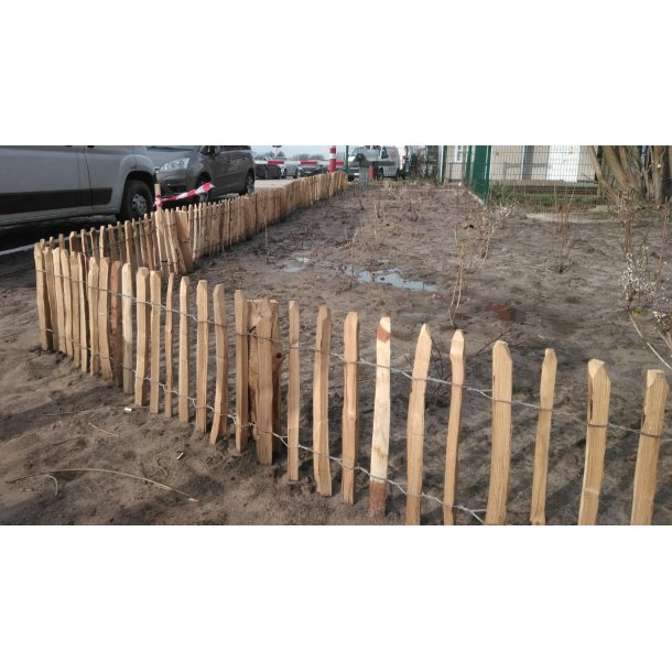 Kastanjestaket 50cm 4-5cm 10m