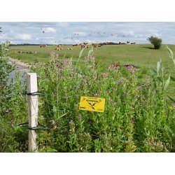 Ekostolpe 1/2 14-16x250cm FSC&reg; 100%