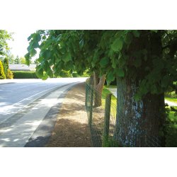 Villan&auml;t Lux, 122cm, gr&ouml;n, 25m