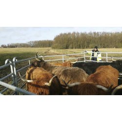 Fngstgrind med d&ouml;rr, f&ouml;r h&auml;star/n&ouml;tkreatur 240 x 170 cm