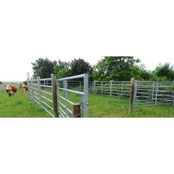 Fngstgrind f&ouml;r h&auml;star/n&ouml;tkreatur 300 x 170 cm