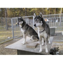 Sidosektion 300 cm standard