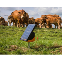 Gallagher SolarEnergizer S200