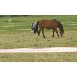 Elband, TurboStar 40mm, vit, 200m