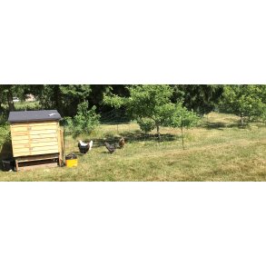 Elnt till fjderf 110cm 50m