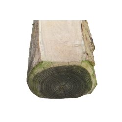 Ekostolpe kantsk 11-13x280cm FSC 100%