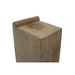 Skildpadde dobbelt eg