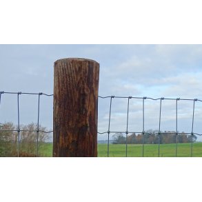 FaunaWood 10-12 x 180 cm